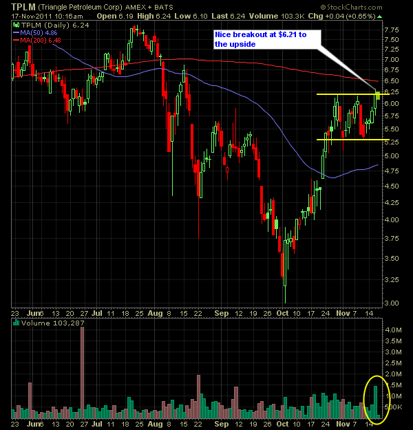 2145e49a699b02b1e460c0ac.png (600×625)