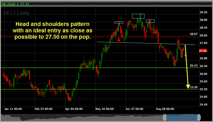 Hawaiian Electric HE