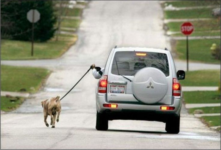 lazy person walking the dog with their car