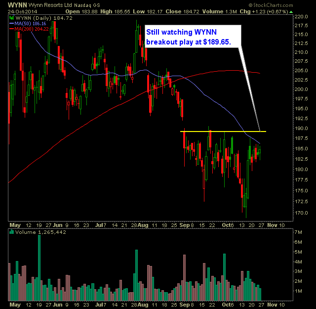 wynn-2