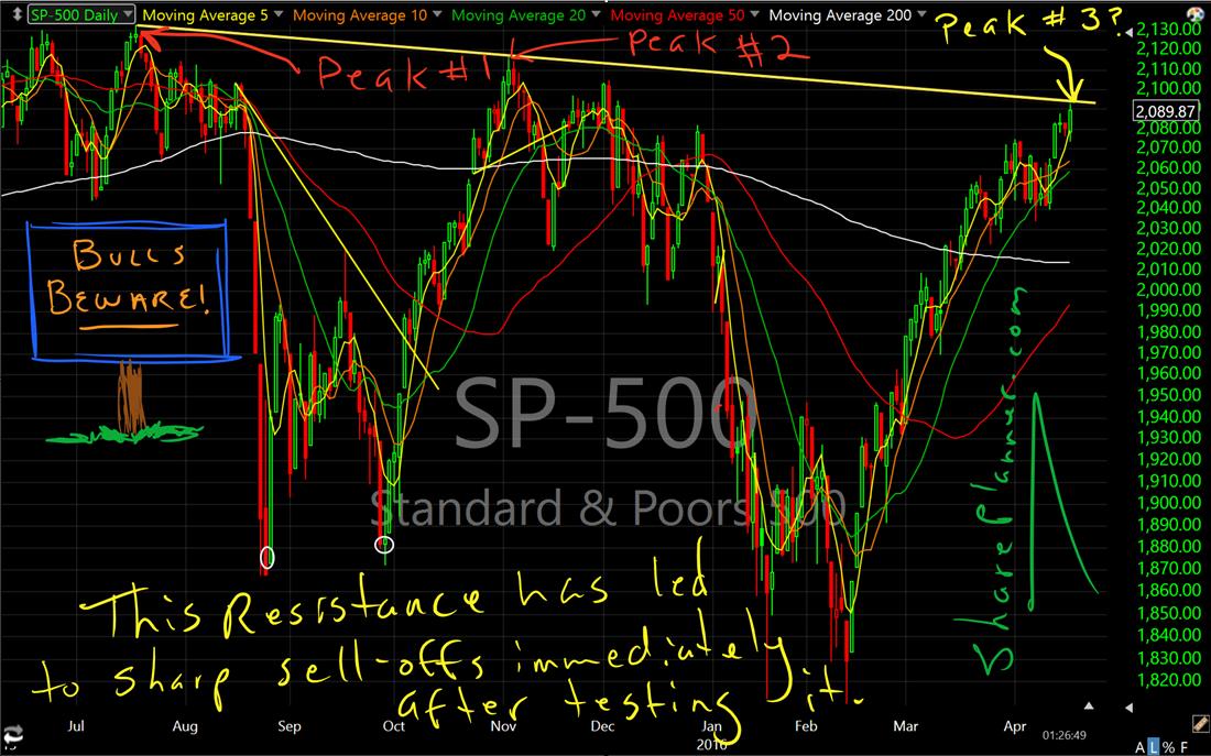 bulls beware