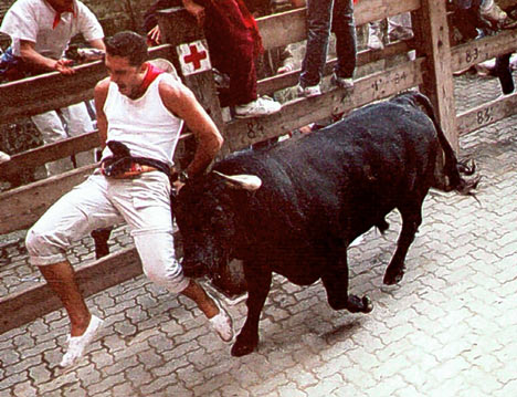 bulls with room to run on the stock market