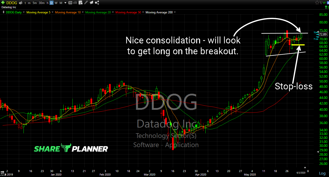 ddog long setup