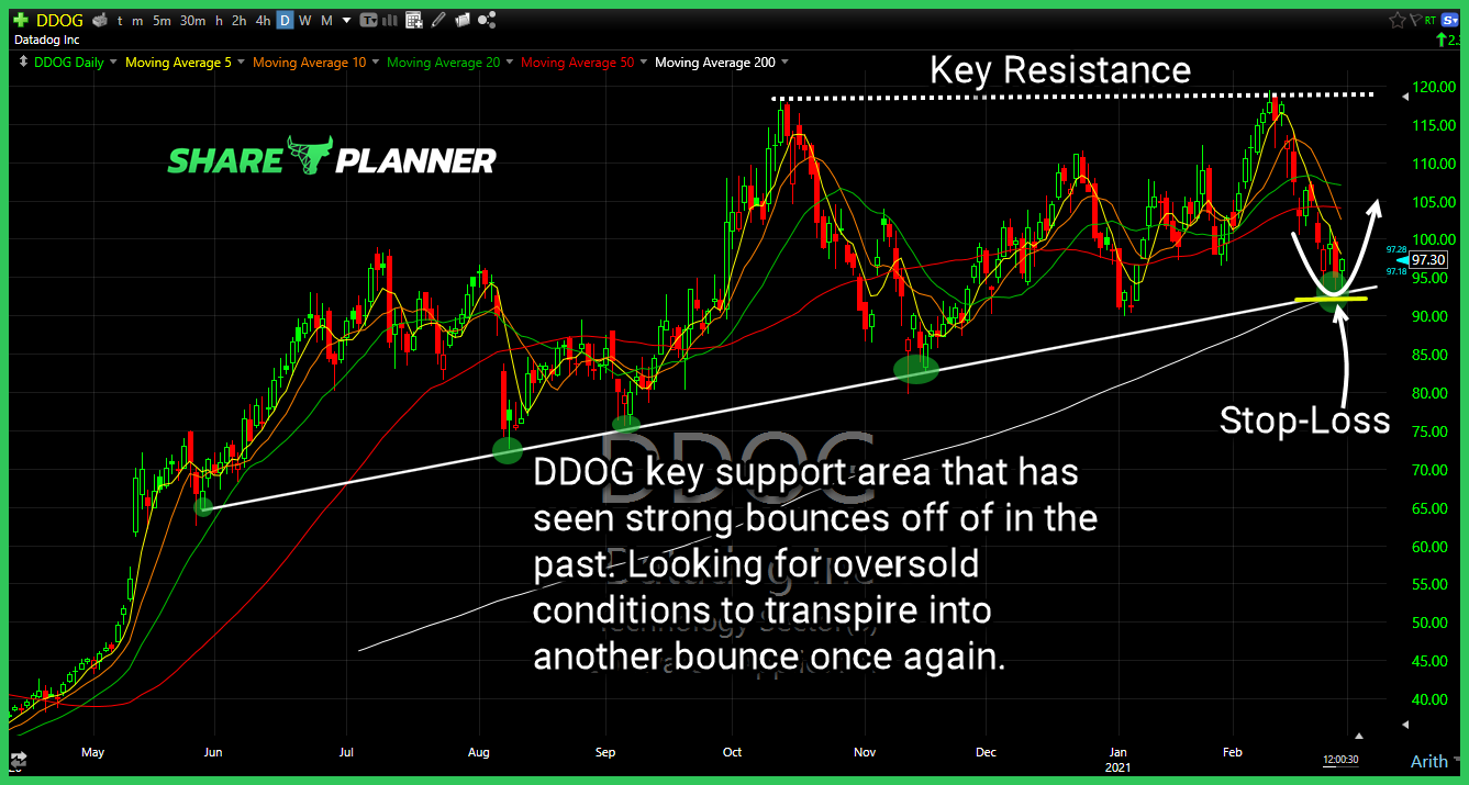 ddog long setup 1