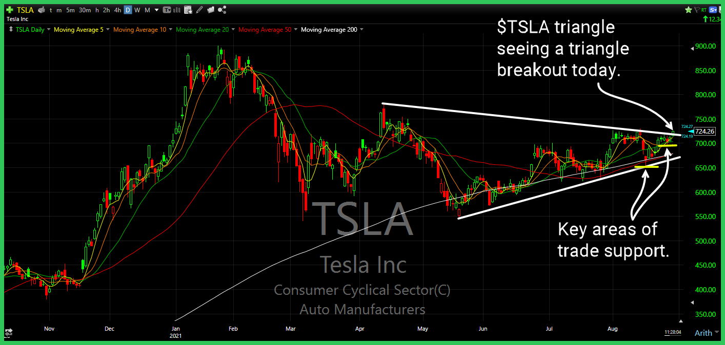 tsla 8 30