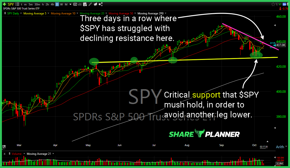 spy 10 11