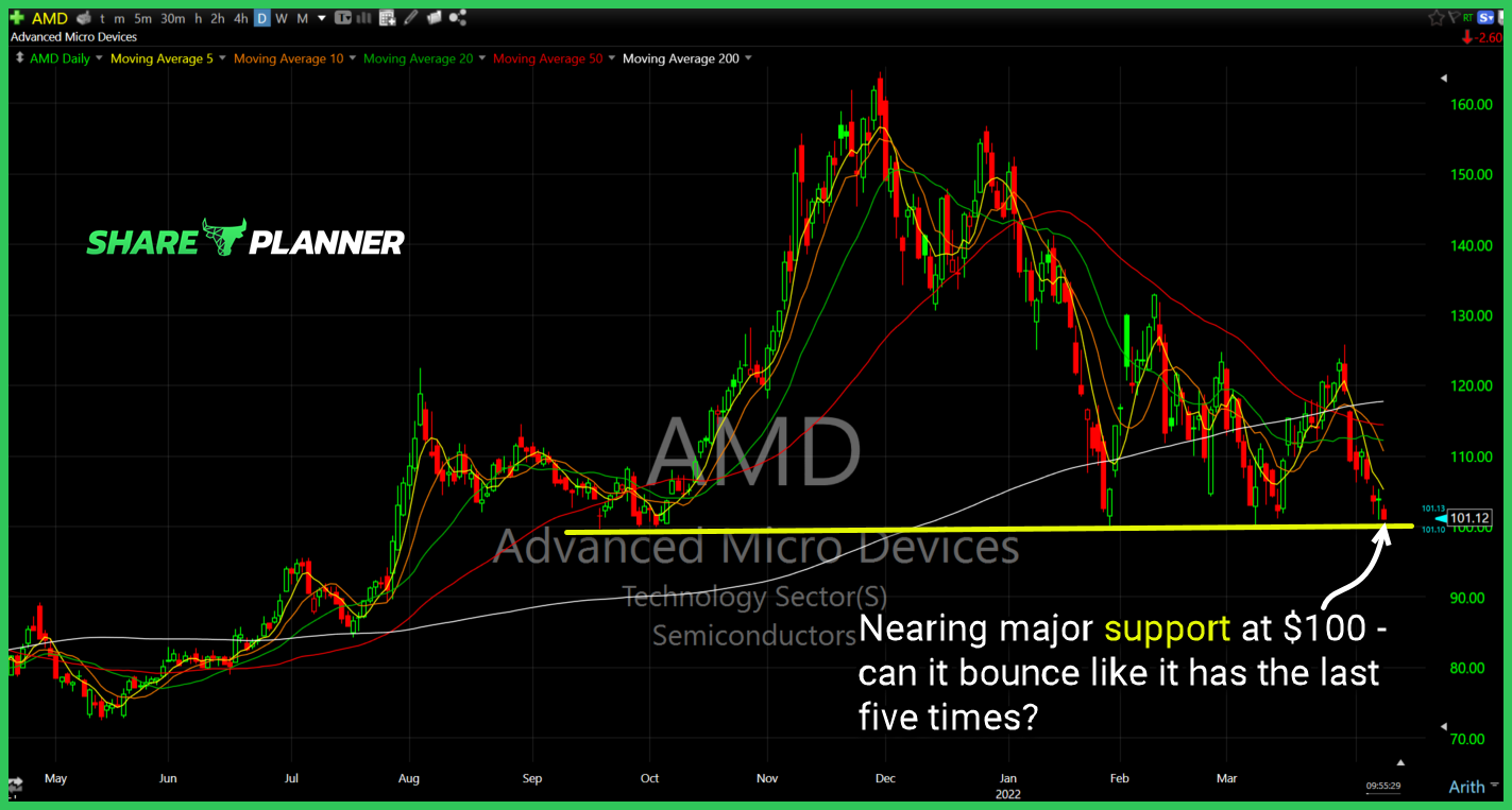 amd 4 8