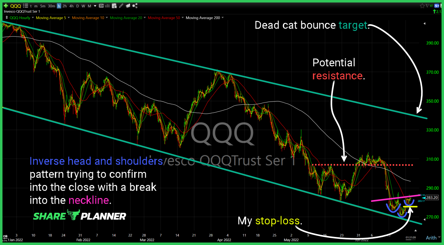 qld long setup