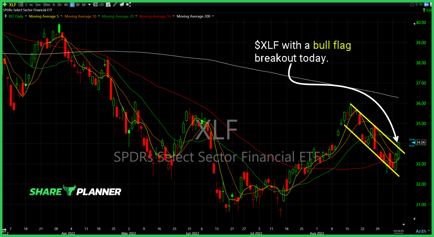 xlf 9 8