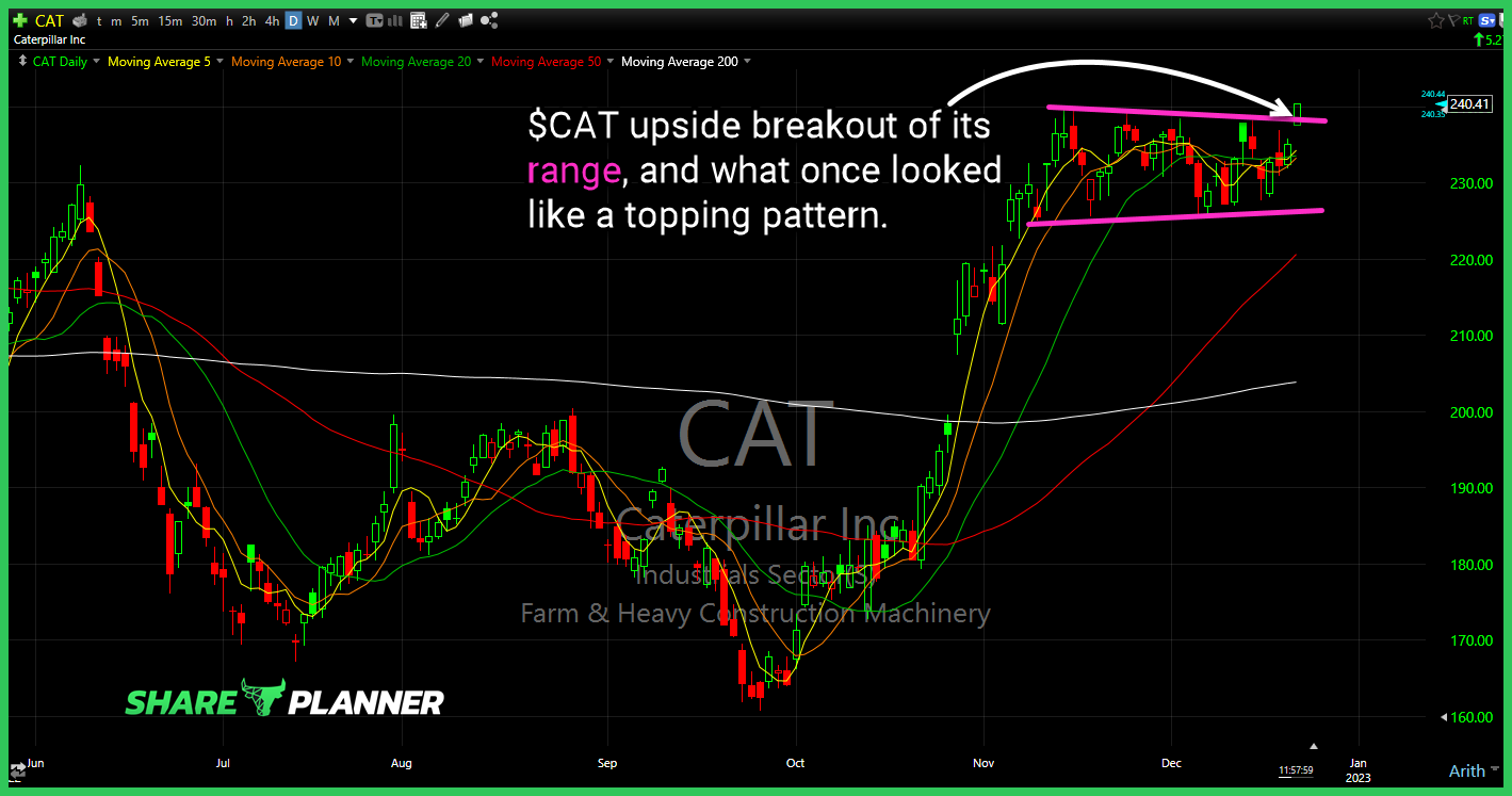 cat 21