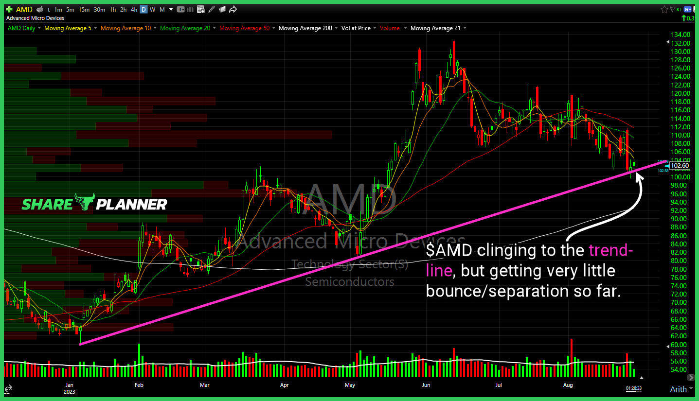 Advanced Micro Devices (AMD) 