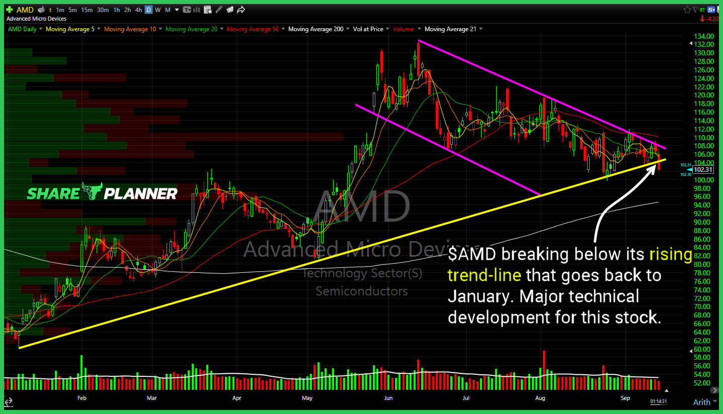 Advanced Micro Devices (AMD)