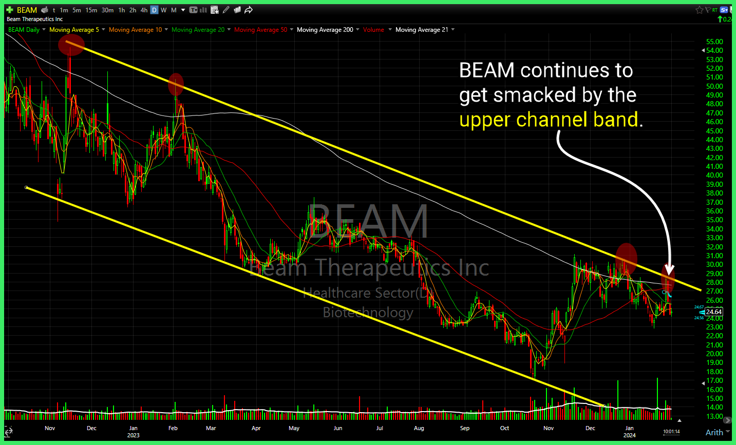 Beam Therapeutics (BEAM)
