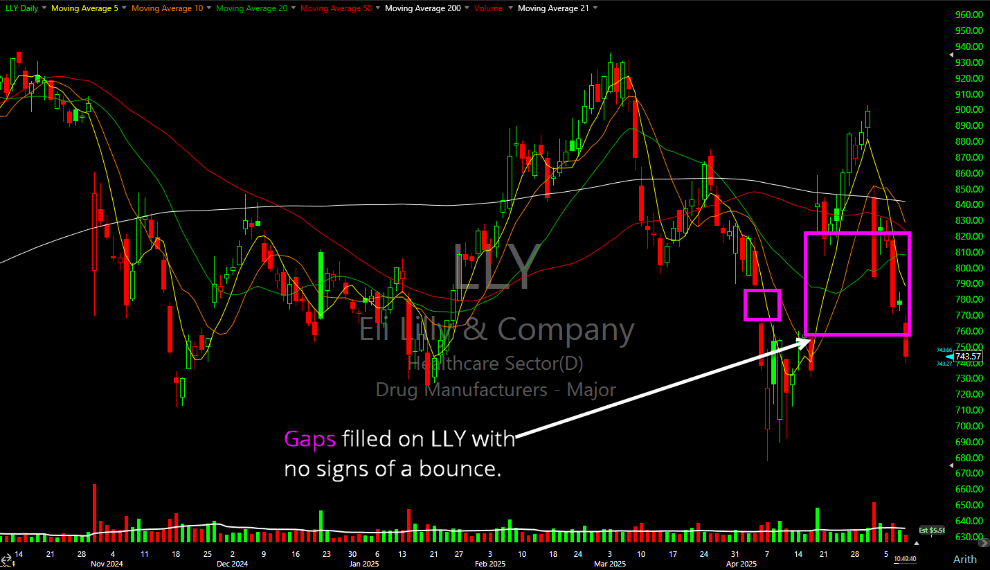 LLY Gap Fill.
