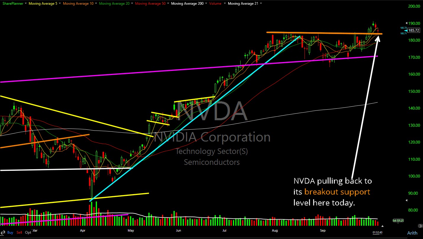 Nvidia (NVDA) pulling back to breakout support.
