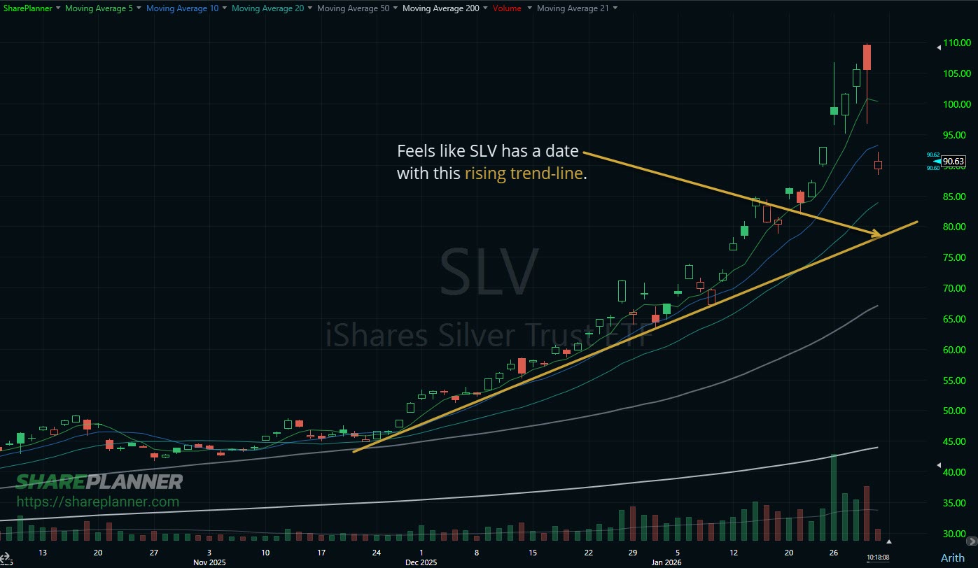 Silver gapped lower with the start of a crash in the commodity. 